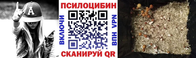 omg ссылки  Гуково  Псилоцибиновые грибы мухоморы 