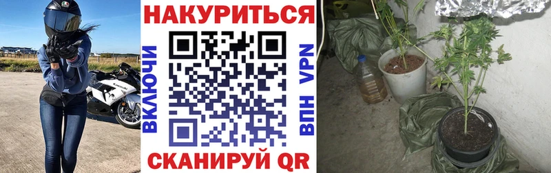 Каннабис Bruce Banner  Гуково 